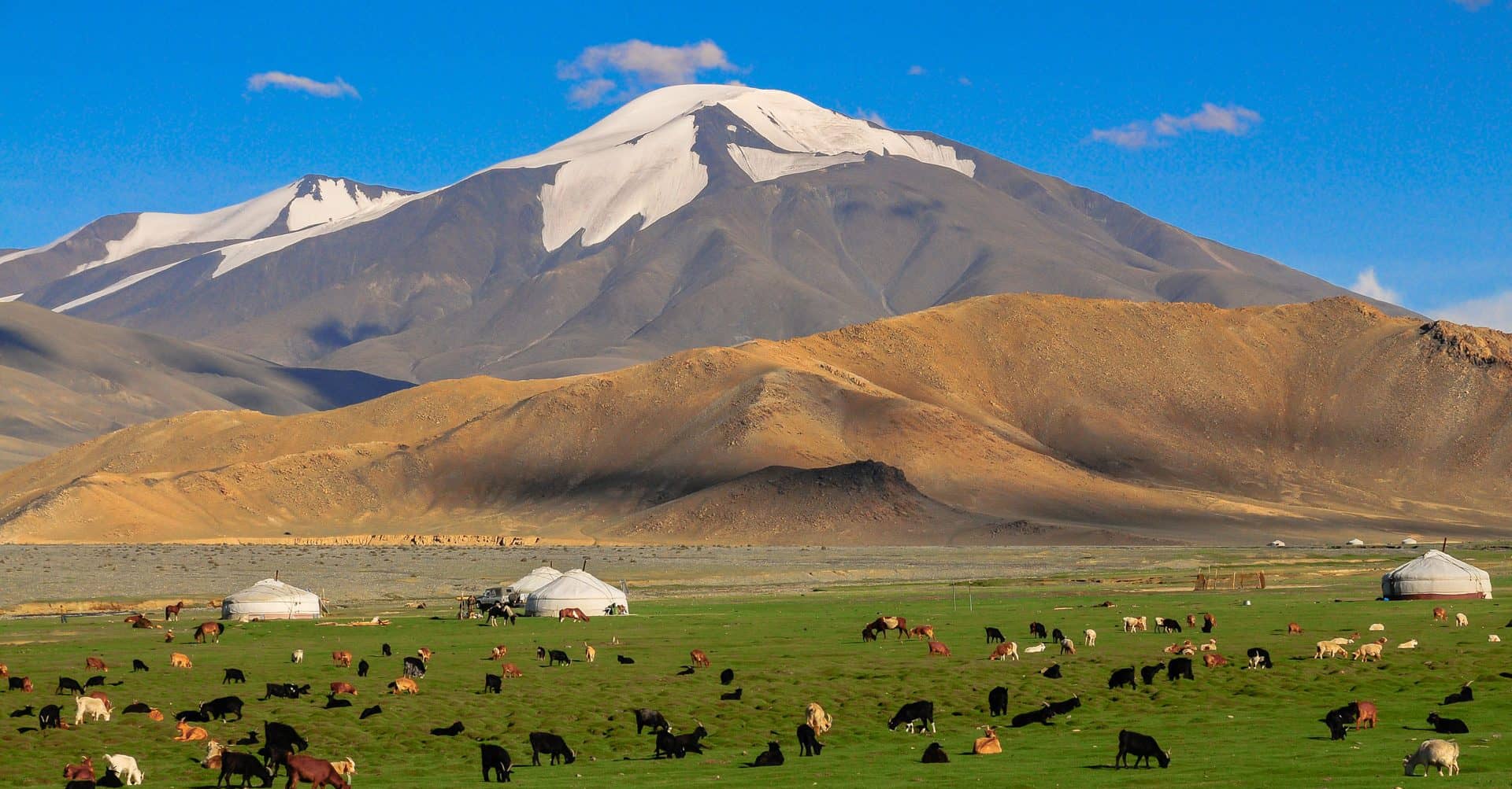 amazing mongolia tours